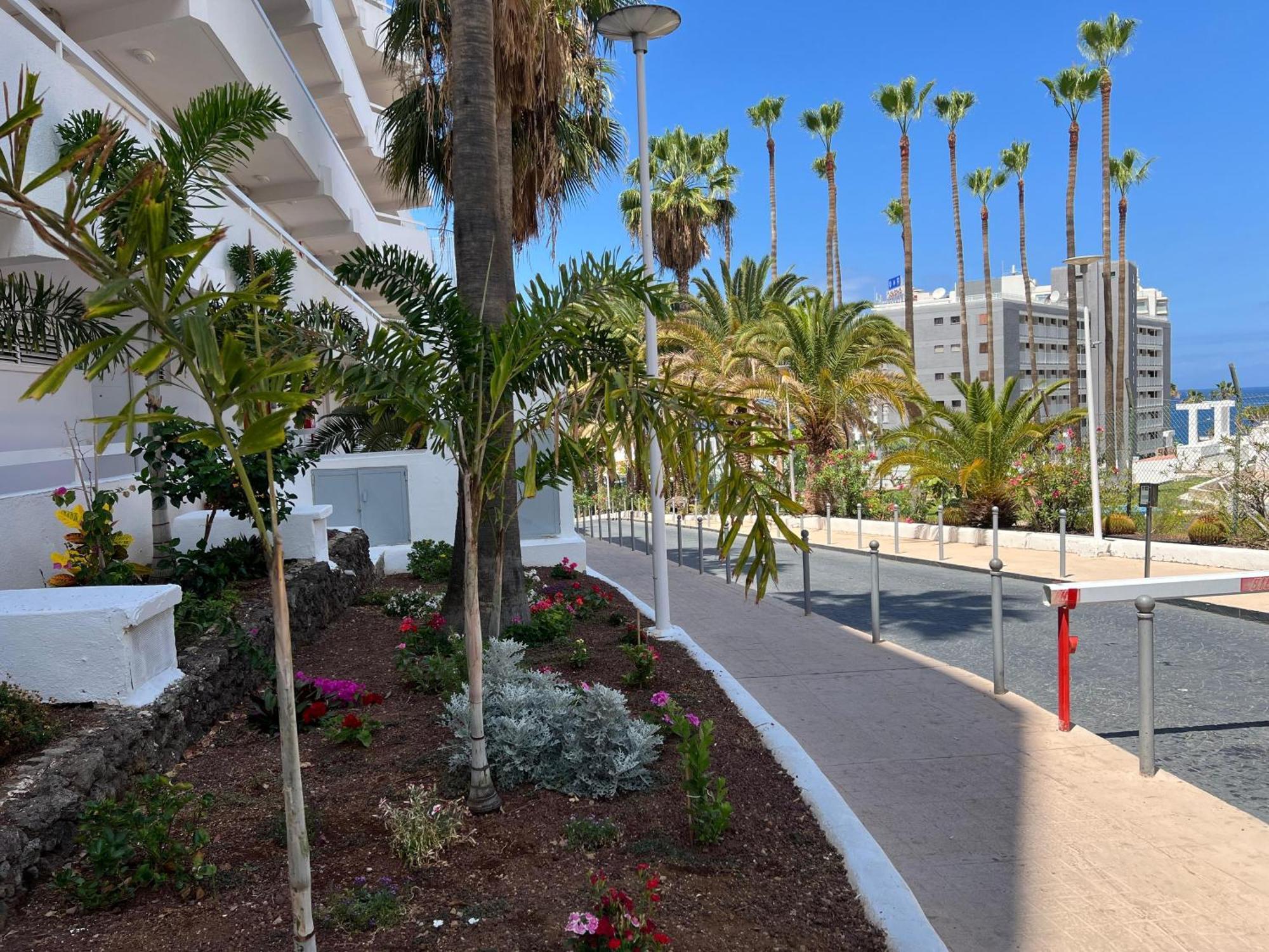 Tenerife Sea View Sun 214 Apartamento *